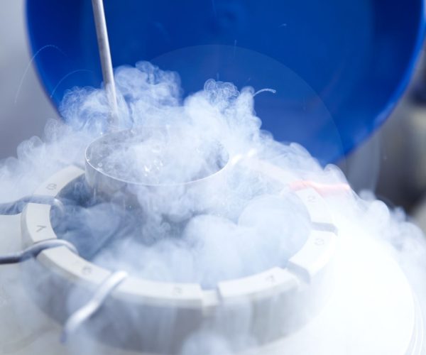 حفظ البويضات بالتجميد حفظ البويضات بالتبريد