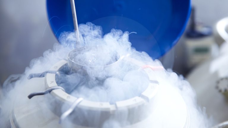 حفظ البويضات بالتجميد حفظ البويضات بالتبريد