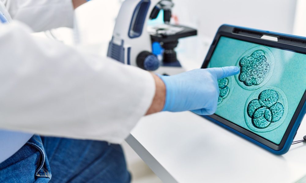 ما هو التبرع بالبويضات والحيوانات المنوية والأجنة دليل علاجات أطفال الأنابيب (IVF) بالتبرع