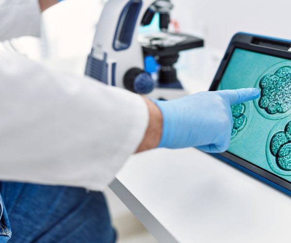 ما هو التبرع بالبويضات والحيوانات المنوية والأجنة دليل علاجات أطفال الأنابيب (IVF) بالتبرع