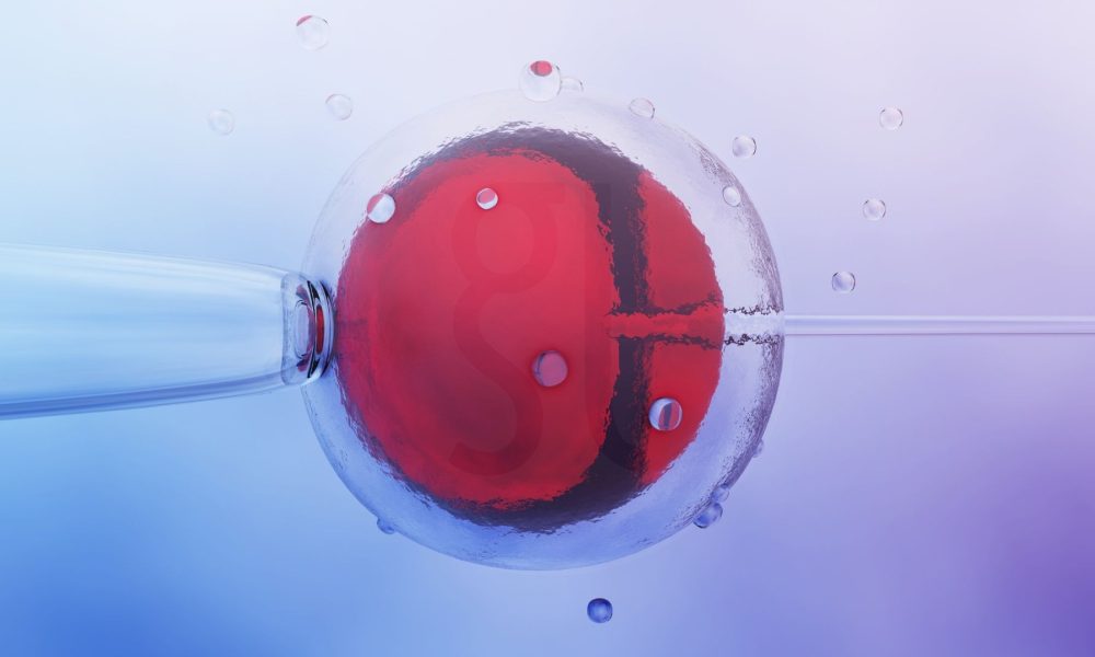 ما هو أطفال الأنابيب (IVF) دليل شامل عن الإخصاب خارج الجسم