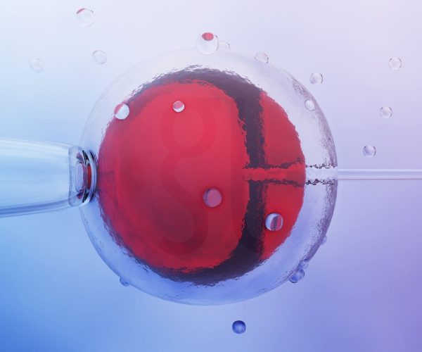 ما هو أطفال الأنابيب (IVF) دليل شامل عن الإخصاب خارج الجسم